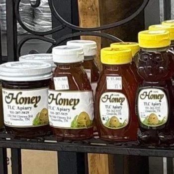 548832069_778355021693281_6986014645467502051_n