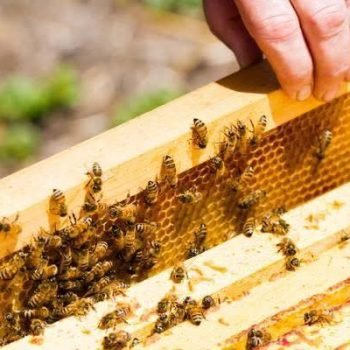 571214507_809837608545022_7654145108187150791_n