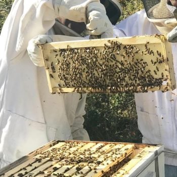 598547753_844415941753855_539089180265064607_n