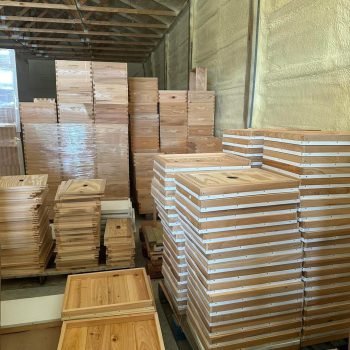 645763612_909584258570356_2543438981516014728_n